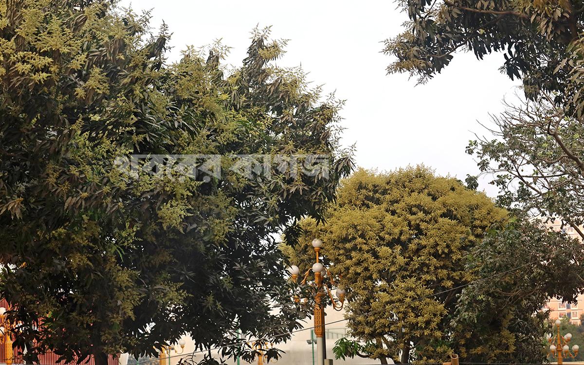 ১৬ ফেব্রুয়ারি ২০২৬